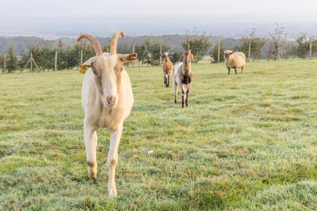 Maison D'Hote La Ferme Du Grand Air Fiennes Dış mekan fotoğraf